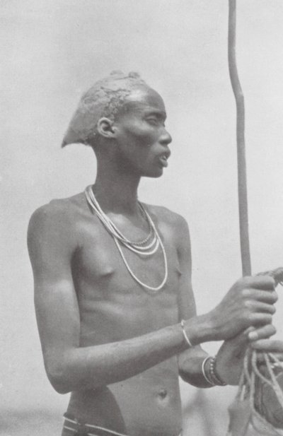 Dinka-Neger (fekete-fehér fotó) alkotó: Hugo Adolf Bernatzik