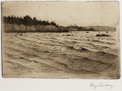 Nyári hullámok alkotó: Hugo Simberg