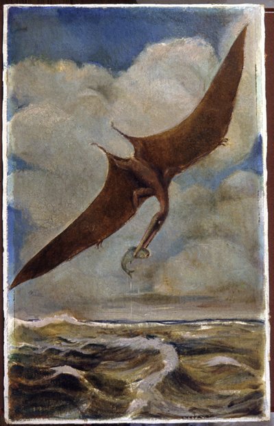 Egy pterodaktil. 1880 körül (gouache) alkotó: Hungarian School