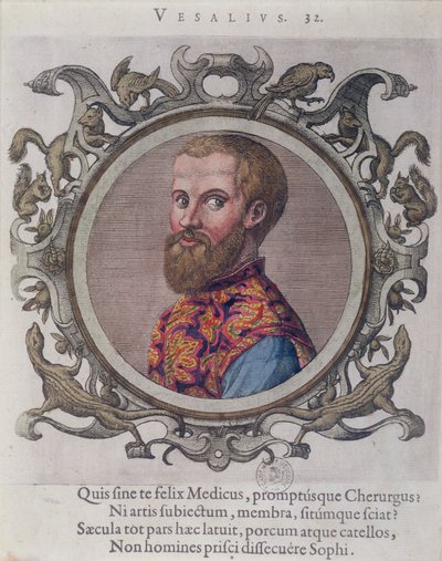 Andreas Vesalius (1514-64) portréja a Recueil des Portraits de Medecins-ből, Sambucus magyar orvostól, 1574 alkotó: Hungarian School
