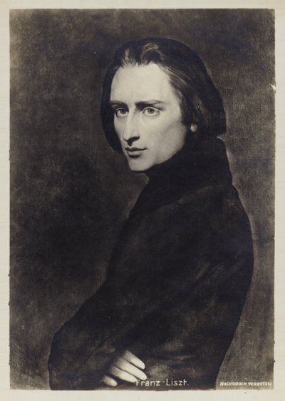 Portrait of Franz Liszt alkotó: Hungarian School