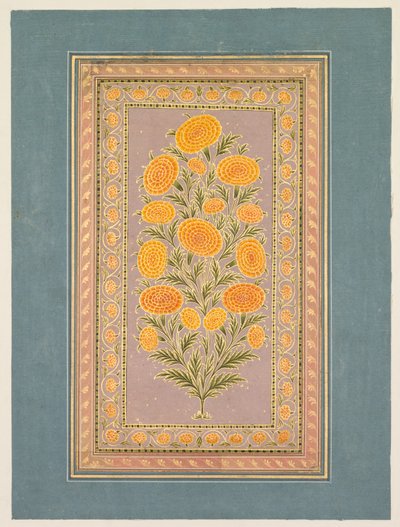 Virágzó körömvirág, c. 1765. alkotó: Hunhar II
