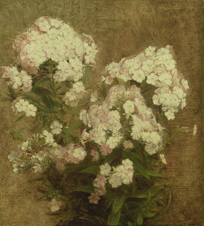 Phlox, 1870 alkotó: Ignace Henri Jean Fantin Latour