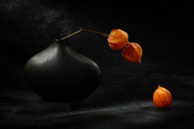  alkotó: Igor Kopcev
