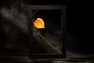  alkotó: Igor Kopcev