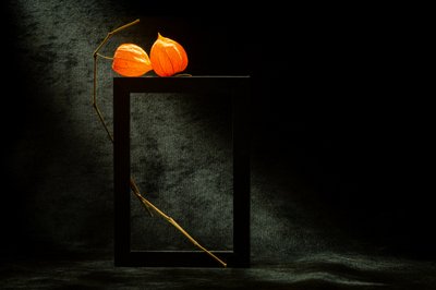  alkotó: Igor Kopcev
