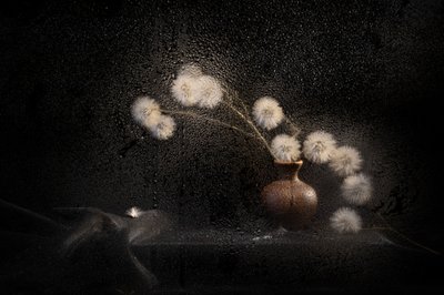  alkotó: Igor Kopcev