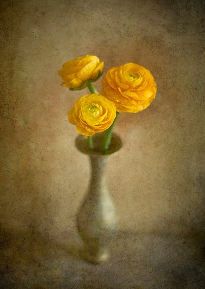 Aranyszínű ranunculus-csokor alkotó: Igor Tokarev