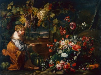 Fiatal lány szőlőt szed (olaj, vászon) alkotó: Il and Brueghel Abraham Borgognone