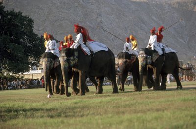 Férfiak elefántpólóznak (fotó) alkotó: Indian Photographer