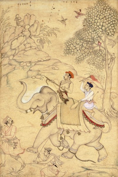 Vadászat herceg, elefántra ülve, 1600-1650 körül alkotó: Indian School