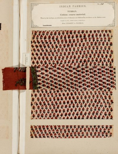 Durva pamut turbánminta a madrasi Sydapetből, az Indiai Textilgyártók Gyűjteményéből, John Forbes Watsontól, 1866-ban alkotó: Indian School