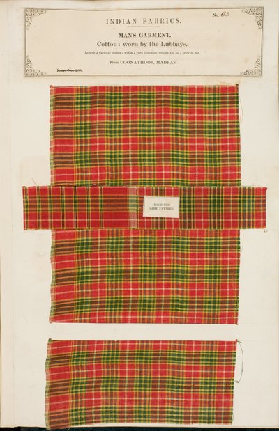Pamutminta a madrasi Coonathoorból, az Indiai Textilgyártók Gyűjteményéből, John Forbes Watsontól, 1866-ban alkotó: Indian School
