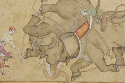 Részlet egy elefántharcból, virágos arabeszk szegéllyel, 1610 körül (átlátszatlan wc és arany papíron) alkotó: Indian School