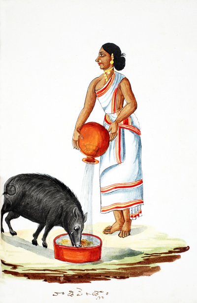 Vadmalac etetése (wc papíron) alkotó: Indian School