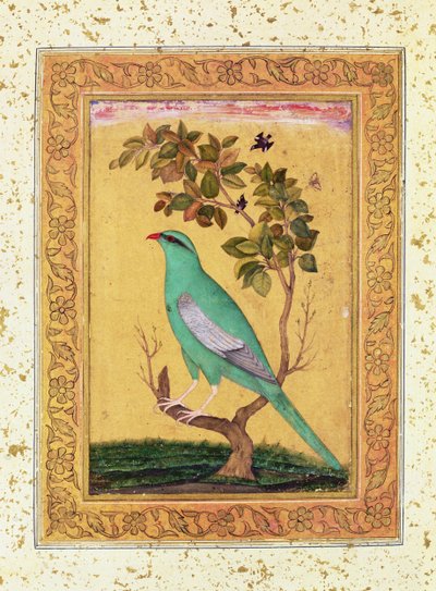 Zöld Madár, Mogul alkotó: Indian School