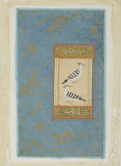 Hoopoes, 1590 körül (átlátszatlan wc és arany papíron) alkotó: Indian School