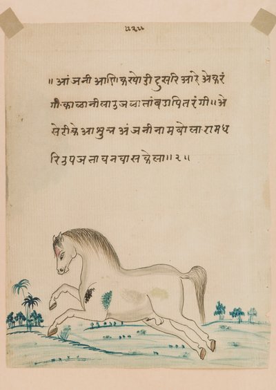 Ló (papíron átlátszatlan wc) alkotó: Indian School