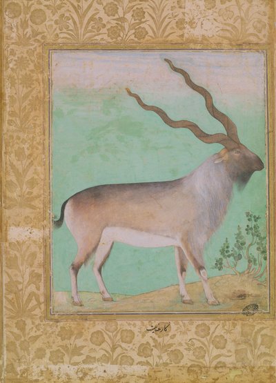 Kecskebak, Mogul alkotó: Indian School