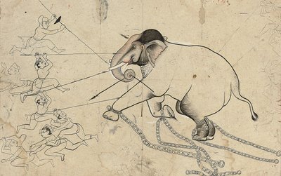 Isarda vagy kotah előkészítő rajza egy elefánt megszelídítéséről, 1720 körül alkotó: Indian School