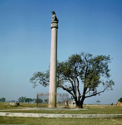 Ashoka császár oroszlánoszlopa (i.e. 264-223 körül) alkotó: Indian School