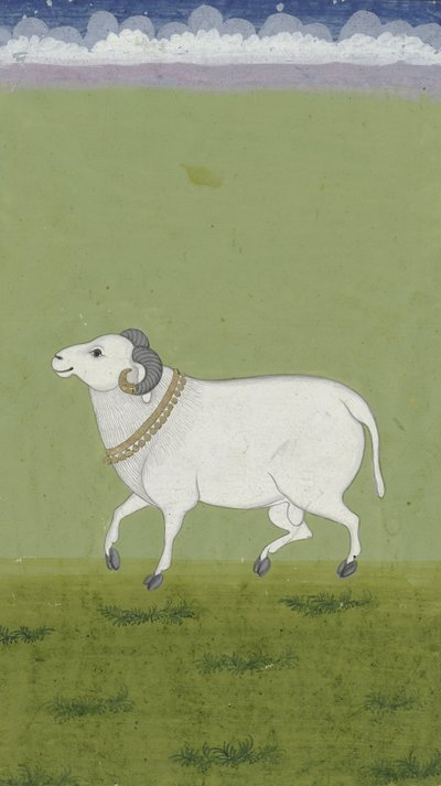 Aranygalléros kos, 1700-1799 alkotó: Indian School
