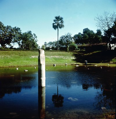 A pataliputrai palota romjai alkotó: Indian School