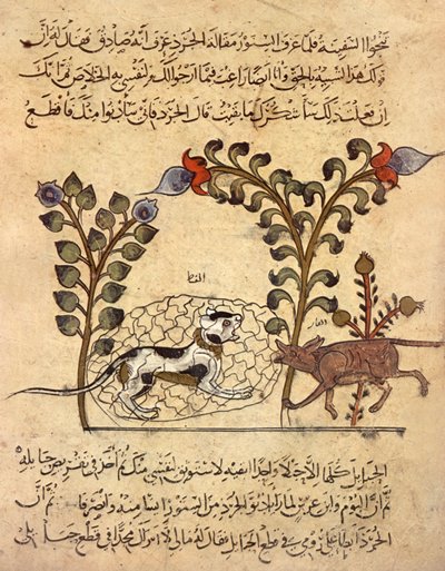 A macska és a patkány, arab miniatűr a "Kalila va dimna"-ból. alkotó: Indian School