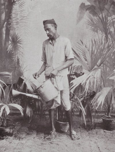 Bombay / Mumbai: Kertész (fekete-fehér fotó) alkotó: Indian photographer
