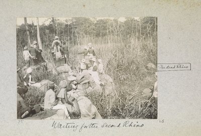 Várva a második orrszarvút, „Curzon Collection: Pillanatképek albuma, főként Lord Curzon India alkirályaként töltött idejével kapcsolatban”, 1901. április alkotó: Indian photographer
