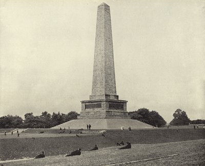 The Wellington Testimonial, Phoenix Park (f/w fotó) alkotó: Irish Photographer