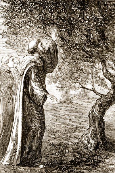 St. Columba a keserű gyümölcsöt édeské változtatja, Mary Cusack (1829-99) a Trias Thaumaturga-ból, avagy Írország három csodatevő szentjéből, amely az 1890-es években jelent meg. alkotó: Irish School