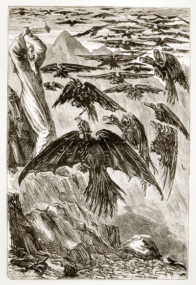 Szent Patrik és a démonmadarak, Mary Cusack (1829-99) a Trias Thaumaturga, avagy Írország három csodatevő szentje című művéből, az 1890-es évek körül megjelent alkotó: Irish School