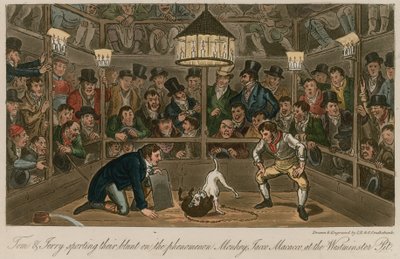 Tom és Jerry egyenesen a majom, Jacco Macacco jelenségről beszél a Westminster Pit-ben alkotó: Isaac, Robert and George Cruikshank