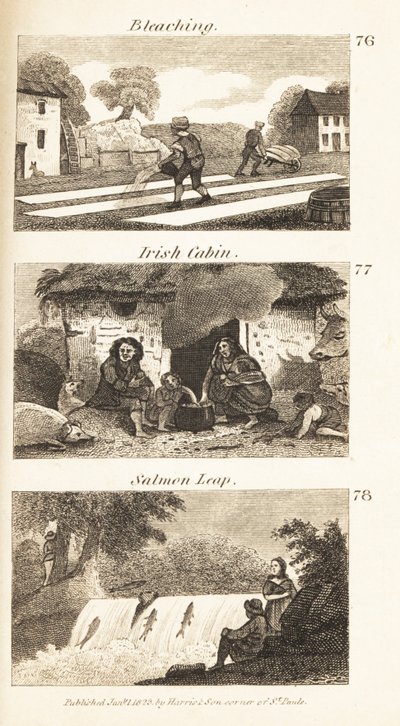 Kereskedelem a Regency Ireland-ben: fehérítés, ír kabin és lazacugrás alkotó: Isaac Taylor