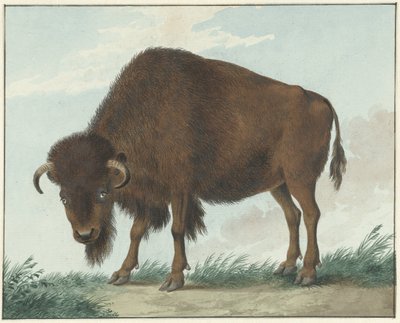 Bölény alkotó: Isaac van Haastert