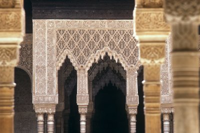 Részlet a boltívekről az Oroszlánok udvarában (fotó) alkotó: Islamic School