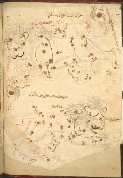 Vagy 5323 f.45v Két oroszlán, illusztráció az „Állított csillagok leírása” című művéből, Abd al-Rahman al-Sufi (tinta és színes papíron) alkotó: Islamic School