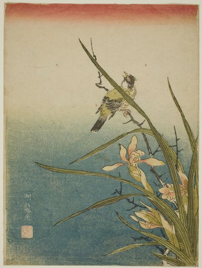 Orchidea és madár alkotó: Isoda Koryusai