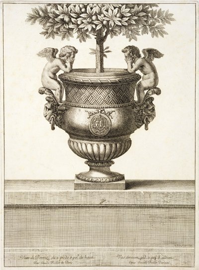 Citrusfákhoz használt bronz urnák, illusztráció a „Versailles nézetei és tervei”, Párizs, 1664-89 körül (metszet) alkotó: Israel the Younger (after) Silvestre