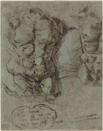 Tanulmányok egy férfi törzsről alkotó: Italian 16th Century