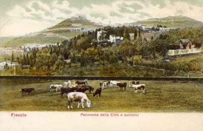 Fiesole, Firenze, Olaszország alkotó: Italian Photographer