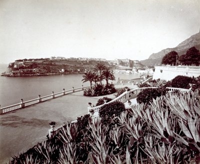 Montecarlói panoráma. Az előtérben agavé növények és kaktuszok sűrű növényzete alkotó: Italian Photographer