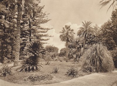 Szicília / Szicília: Villa Tasca, Palermo (fekete-fehér fotó) alkotó: Italian Photographer