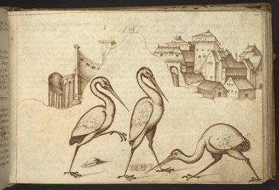 Hozzáadás. 82955, f.107   Ibises (