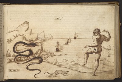Hozzáadás. 82955, f.115 Kígyó (