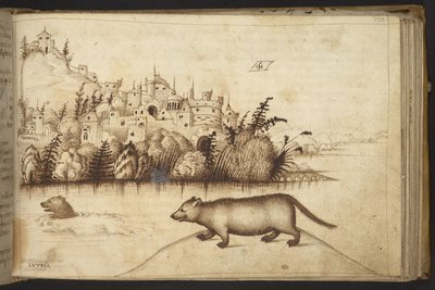 Hozzáadás. 82955, f.150 Vidrák (