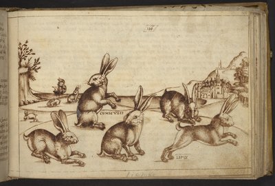 Hozzáadás. 82955, f.165 Nyulak (