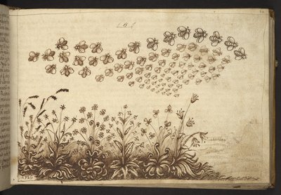 Hozzáadás. 82955, f.64 Méhek (