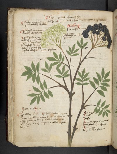 Adja hozzá az MS 41623 f.72v 